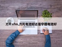 刀片sfm,刀片电池好还是宁德电池好